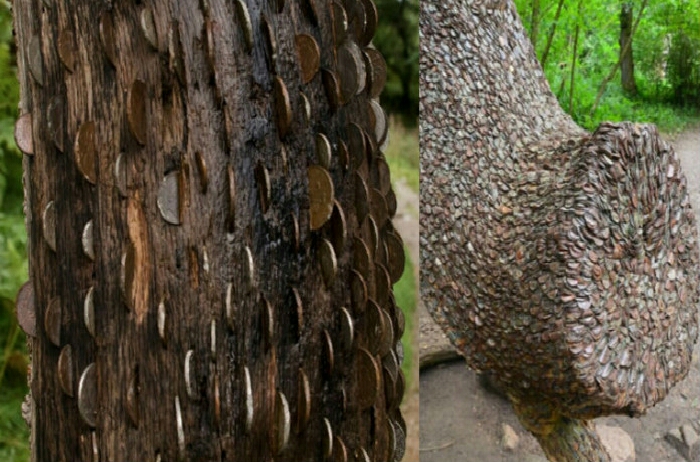 the real money trees