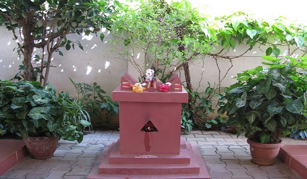 तुलसी माता, Tulsi Mata - DuniyaSamachar